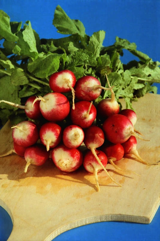 Sparkler Radishes