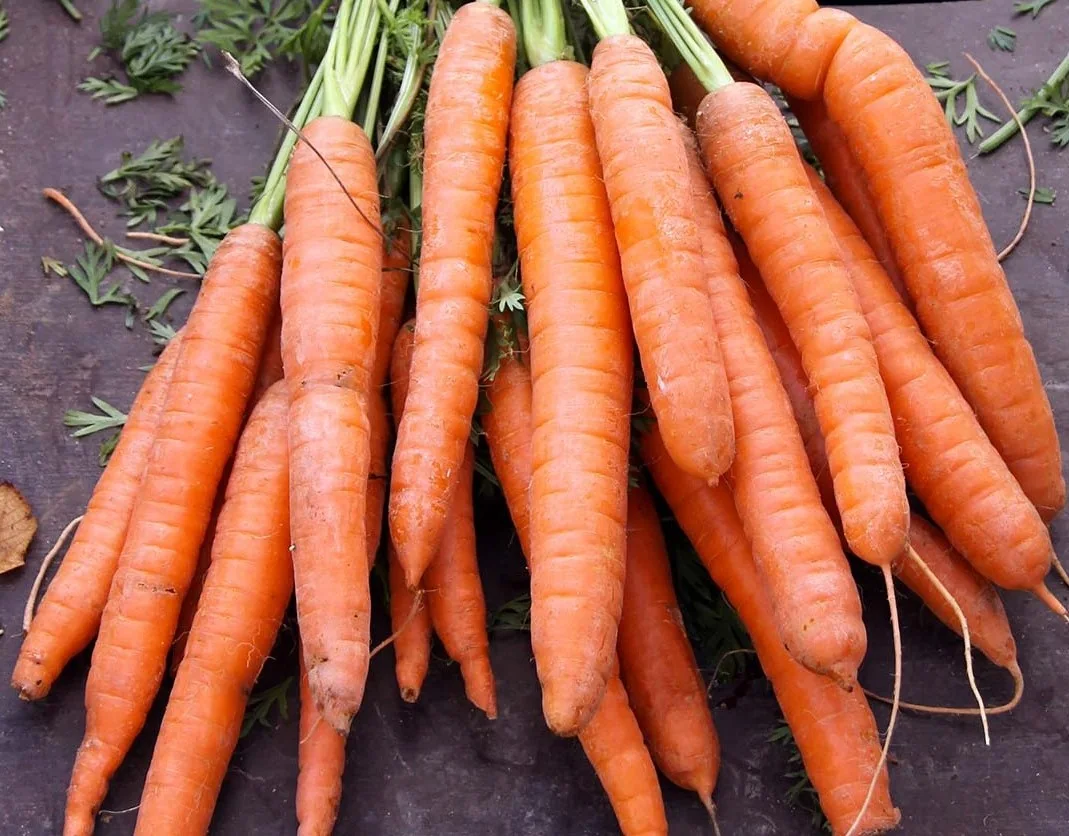 St. Valery Carrots