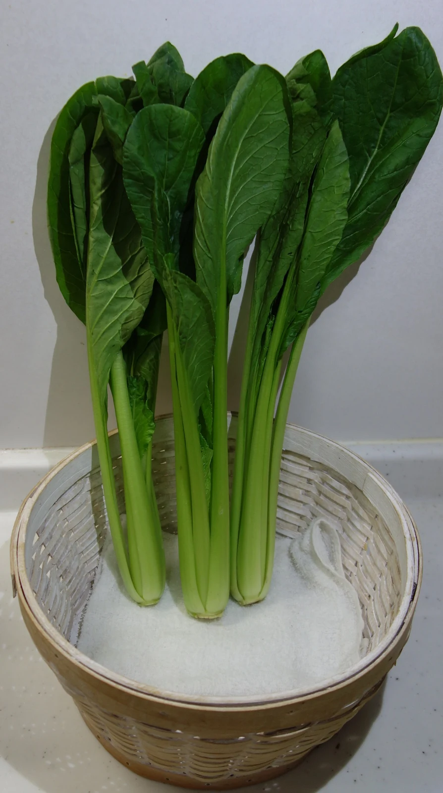 Tendergreen