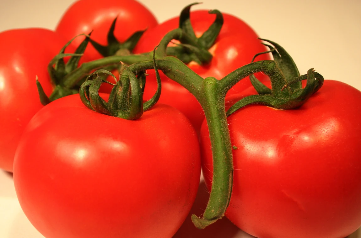 Thessaloniki Tomatoes