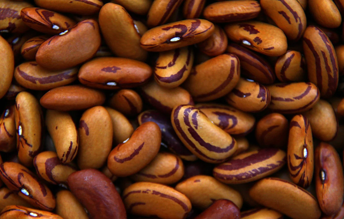 Tiger Eye Bean