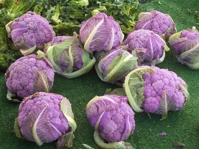 Violetta Purple Cauliflower