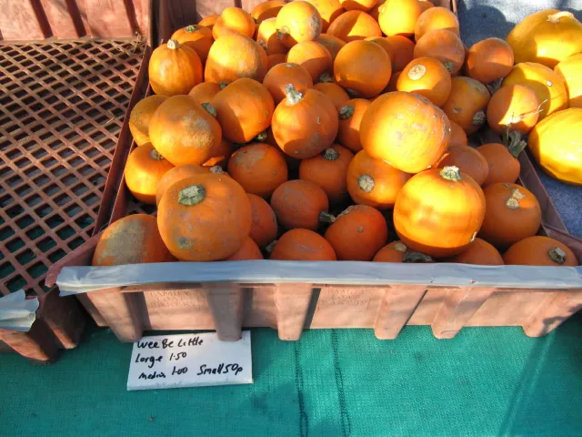Wee Be Little Pumpkin