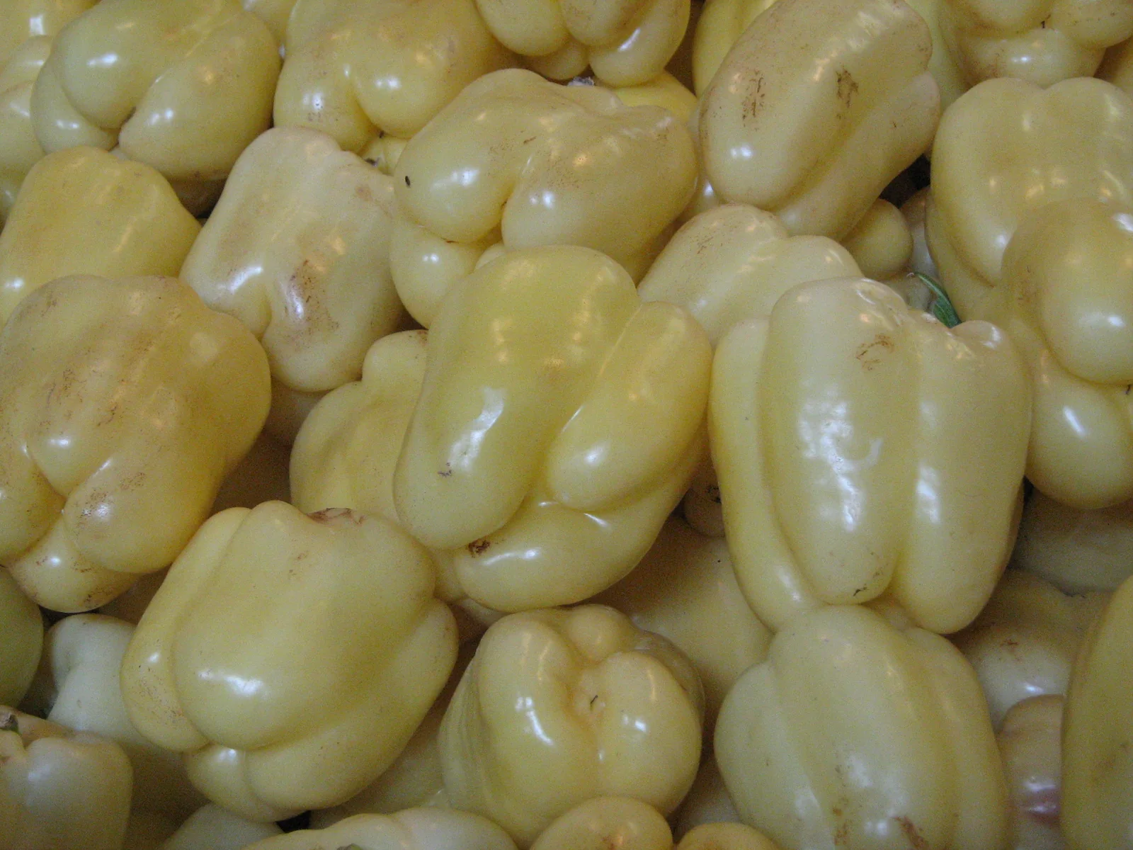 White Cloud Sweet Peppers