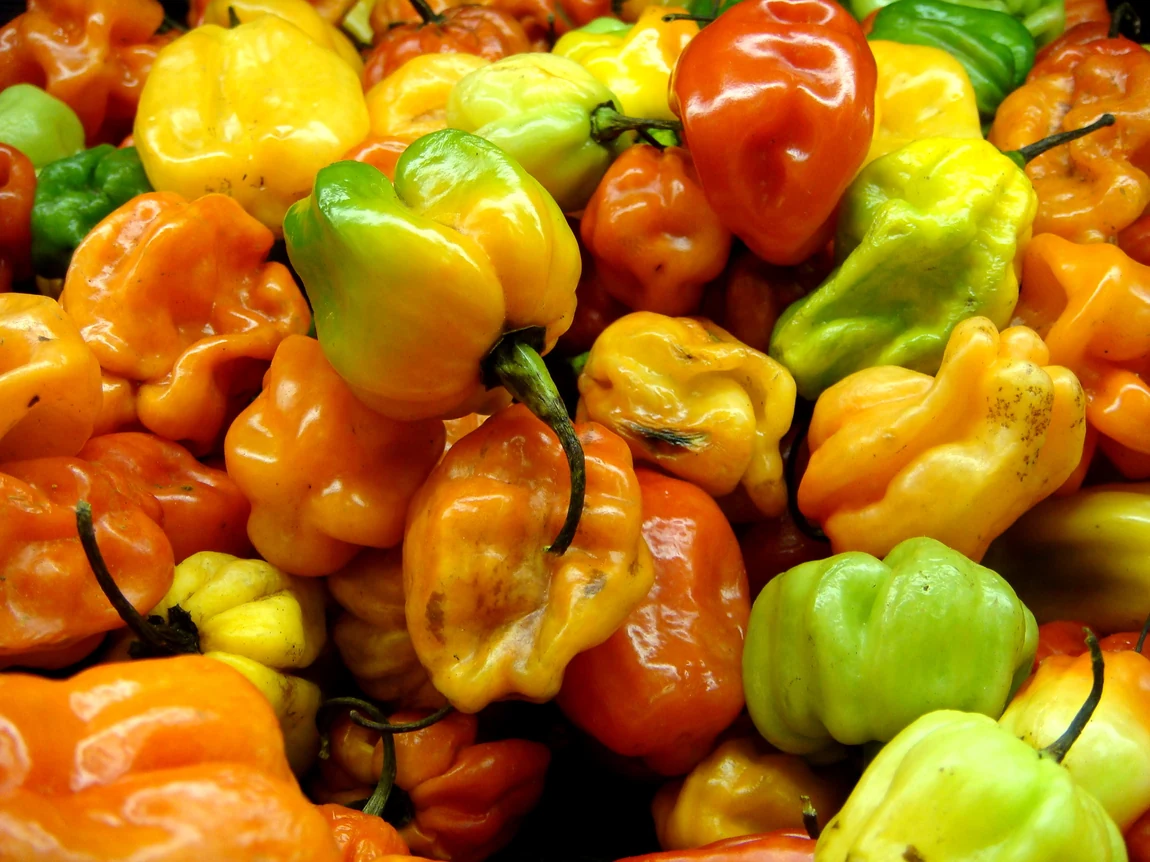 Yellow Mushroom Hot Peppers