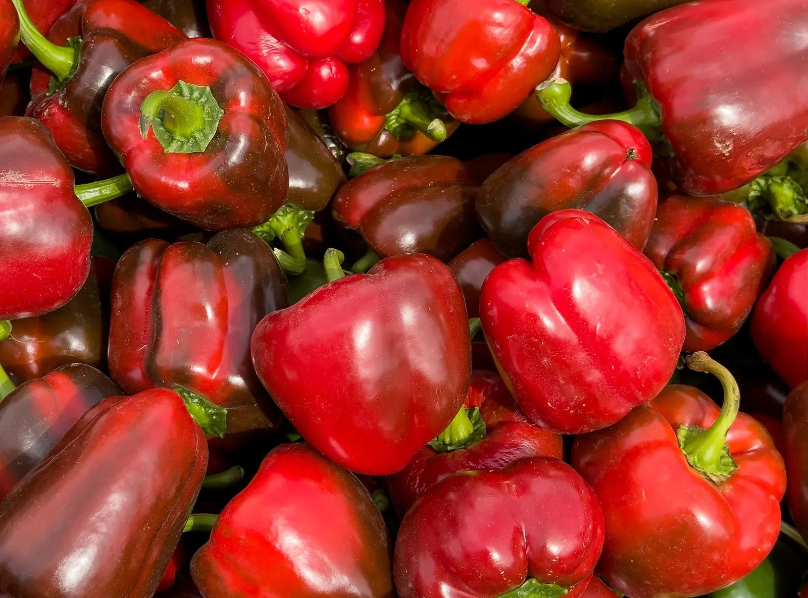 Yolo Wonder Sweet Peppers